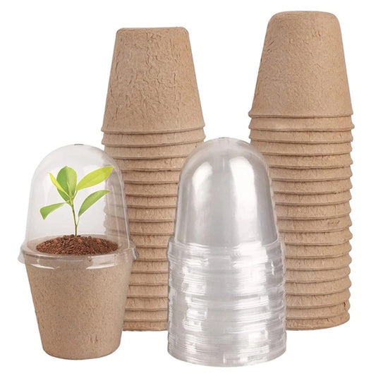 Biodegradable Peat Seed Starter Pots with Humidity Dome, 2.36 Inch, Set of 10 - Image 2