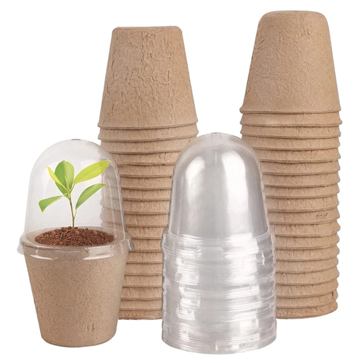 Biodegradable Peat Seed Starter Pots with Humidity Dome, 2.36 Inch, Set of 10 - Image 2
