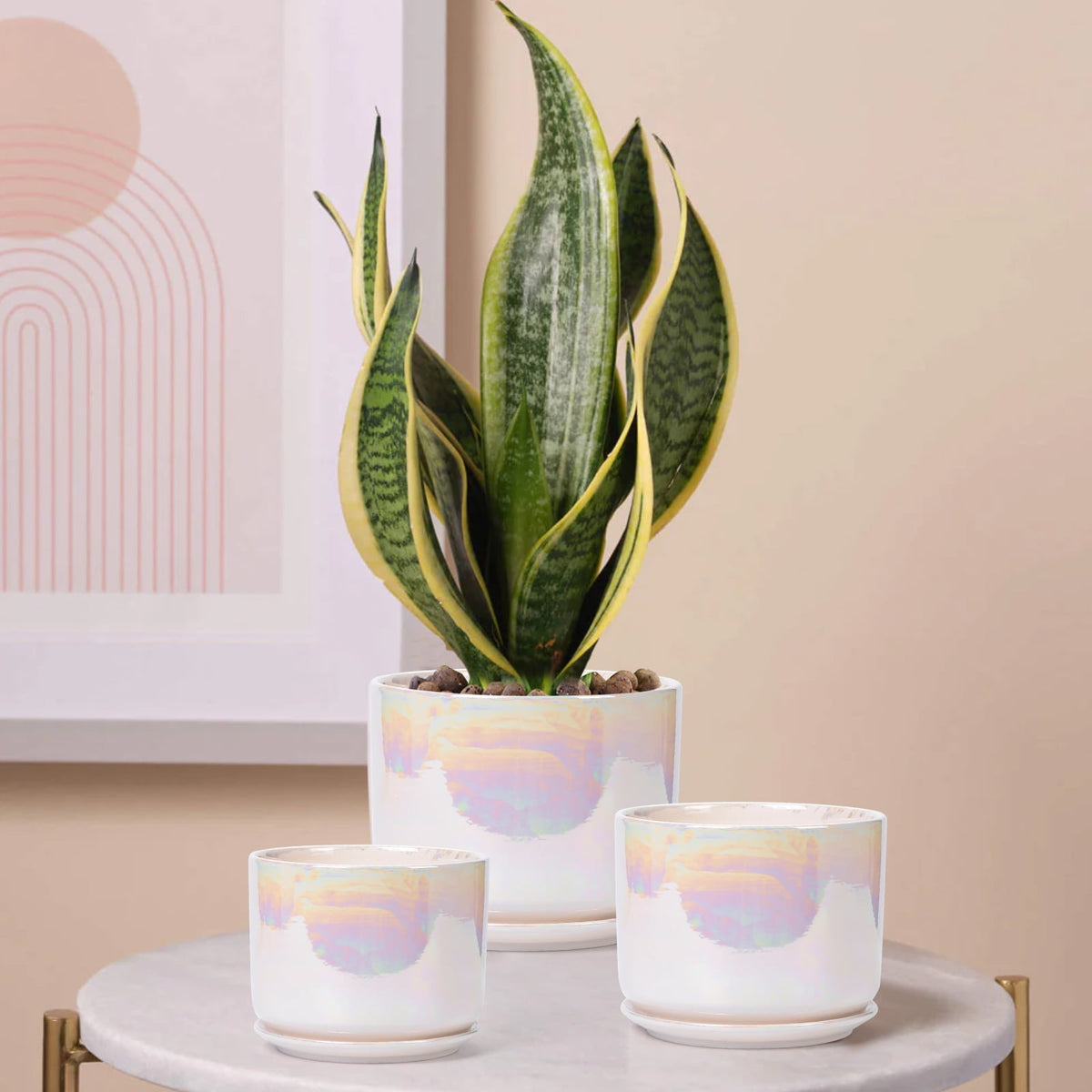Glazed Ceramic Plant Pots with Drainage Holes, 4, 5 and 6 Inch Set of 3 - Image 6