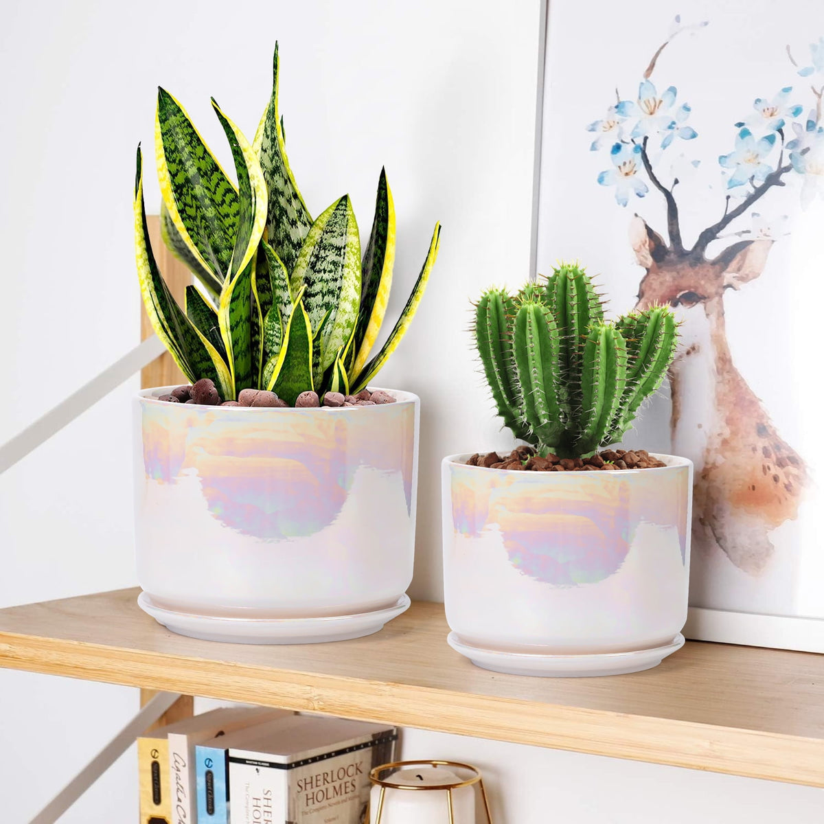 Glazed Ceramic Plant Pots with Drainage Holes, 4, 5 and 6 Inch Set of 3 - Image 3
