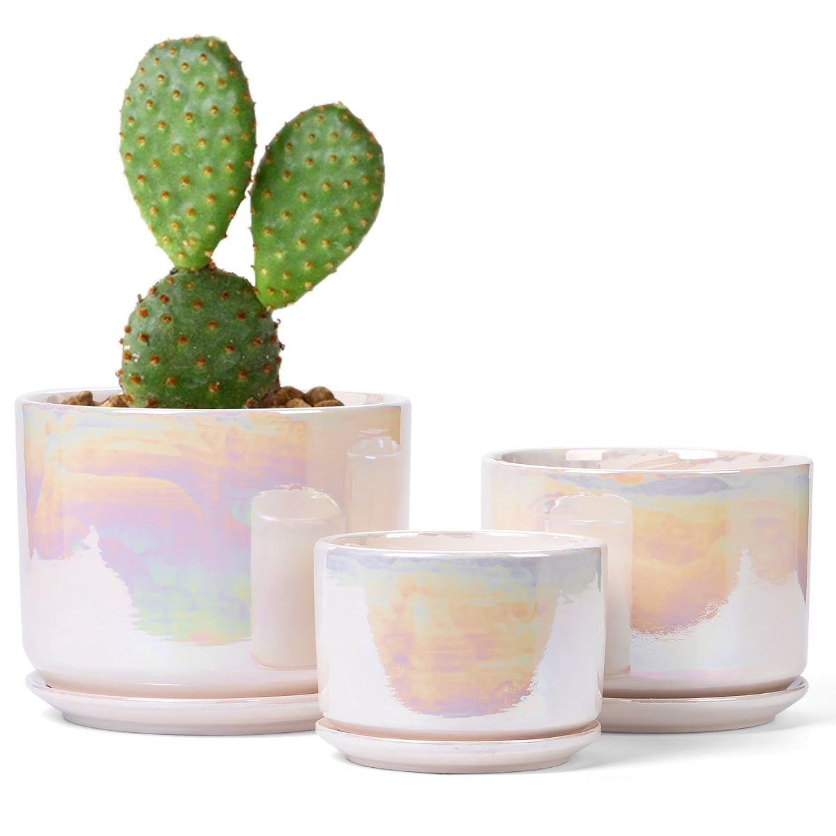 Glazed Ceramic Plant Pots with Drainage Holes, 4, 5 and 6 Inch Set of 3