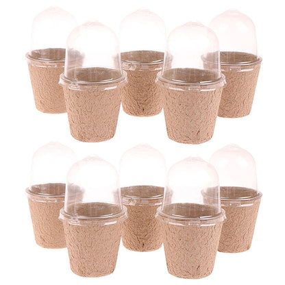 Biodegradable Peat Seed Starter Pots with Humidity Dome, 2.36 Inch, Set of 10 - Image 3